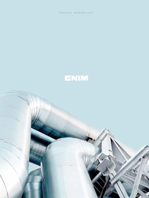 2017 Integrated Report