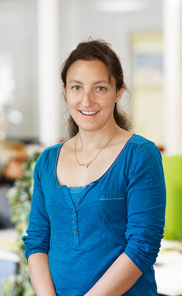 Consultant sûreté de fonctionnement